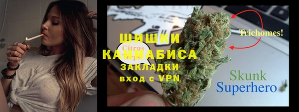 бошки Алексин