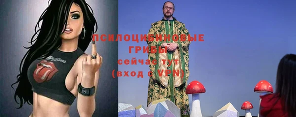 apvp Алексеевка