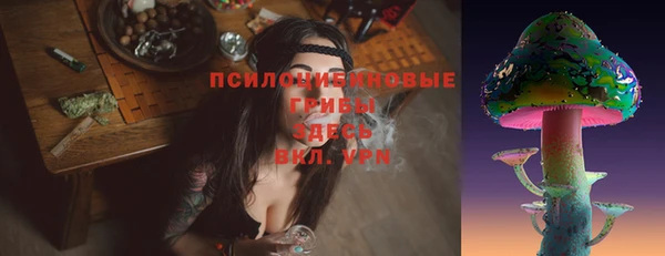 индика Алзамай