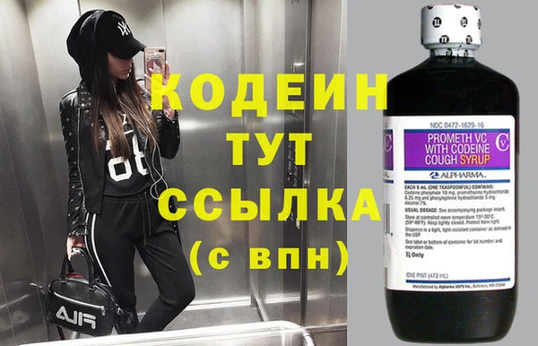 индика Алзамай