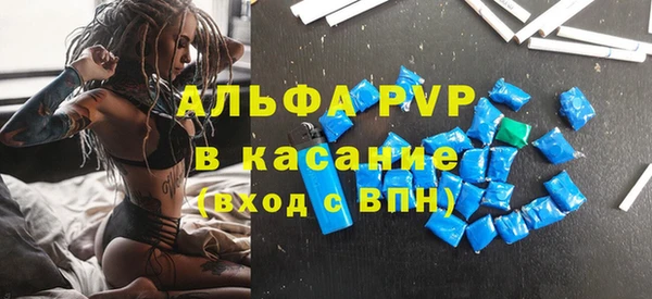 индика Алзамай