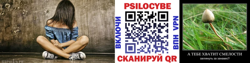 Купить  Выборг  Галлюциногенные грибы Magic Shrooms 