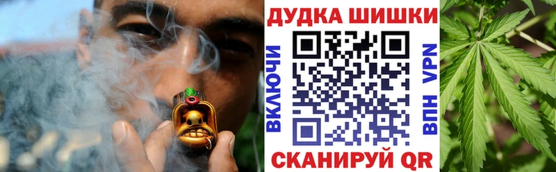 Купить закладки  Выборг  Канабис план 